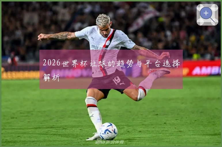 2026世界杯让球的趋势与平台选择解析