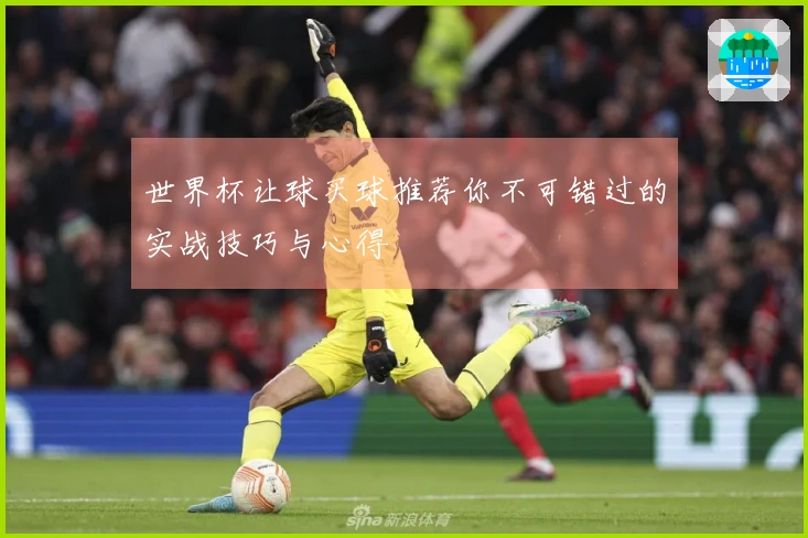 世界杯让球买球推荐你不可错过的实战技巧与心得