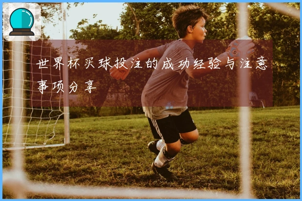 世界杯买球投注的成功经验与注意事项分享