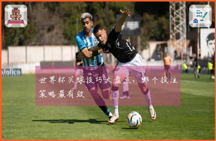 世界杯买球技巧大盘点，哪个投注策略最有效