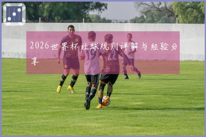 2026世界杯让球规则详解与经验分享