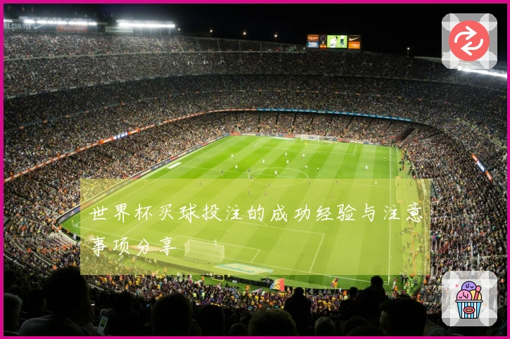 世界杯买球投注的成功经验与注意事项分享