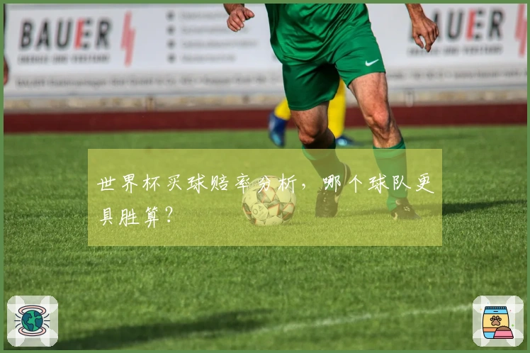 世界杯买球赔率分析，哪个球队更具胜算？
