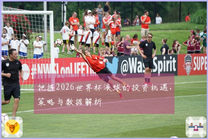 把握2026世界杯滚球的投资机遇，策略与数据解析
